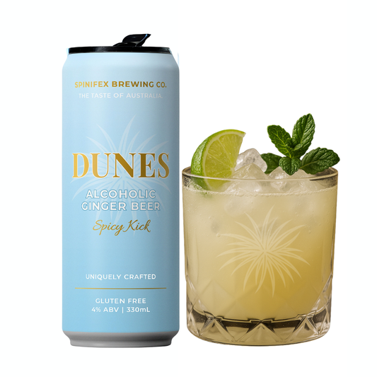 DUNES | Alcoholic Ginger Beer | 4.0% ABV | Carton (16)
