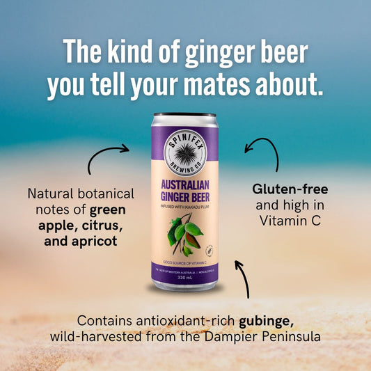 Australian Ginger Beer Carton | Non-Alcoholic | Carton (16)