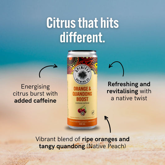 Orange & Quandong Boost | Non-Alcoholic | Carton 16