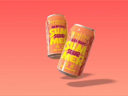 Billy Goat Summer Sour | 3.5% ABV | Carton (16)