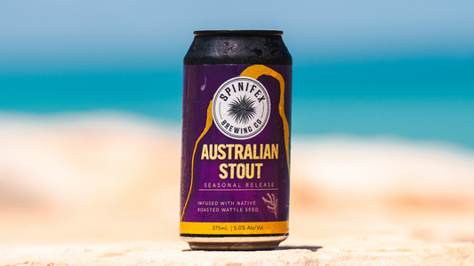 Australian Stout | 5.0% ABV | Carton (16)