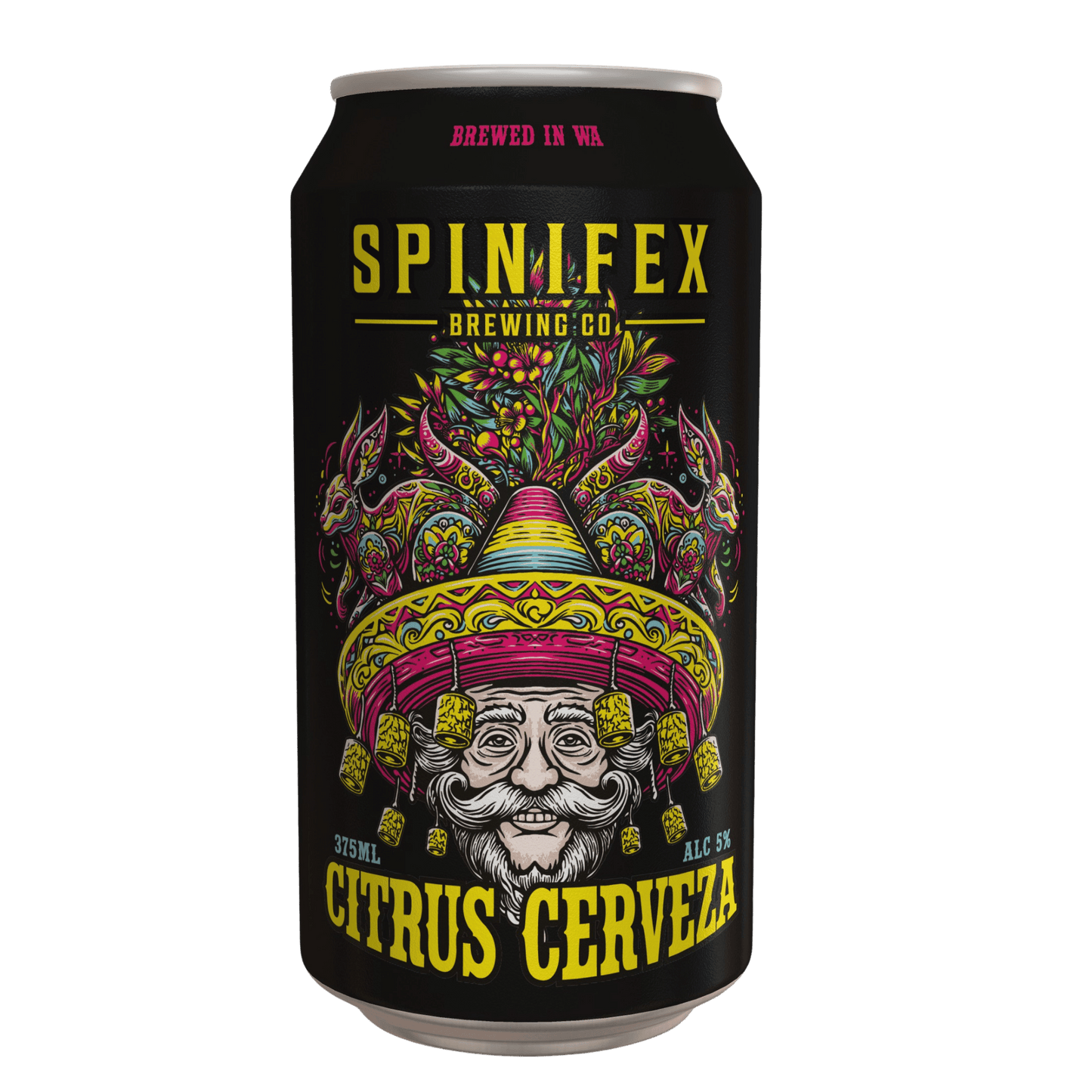 Citrus Cerveza | 5% ABV | Carton (16)