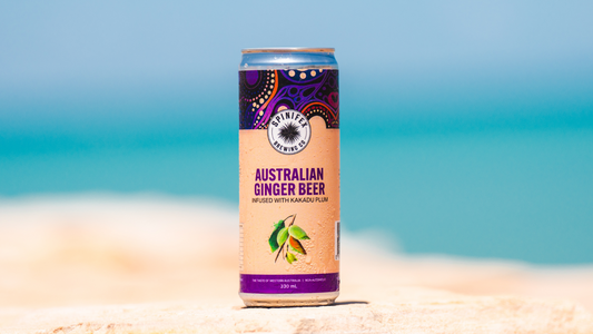 Non-Alcoholic Australian Ginger Beer Carton | Carton (16)